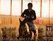xx FZ TosTour2013- S5 3147 : Arezzo, Arezzo Equestrian Centre, Cavalli d'Italia, Toscana Tour 2013, foto di Stefano Secchi ©, xx FZ